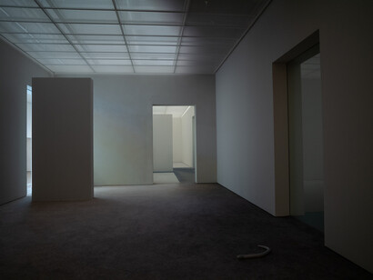 Pierre Huyghe, exhibition view. Courtesy of Fondation Beyeler