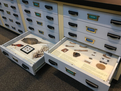 Exploring Our World. Courtesy of Florida Museum of Natural History