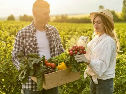 A couple harvesting vegetables, showcasing the importance of sustainability in agriculture and food systems