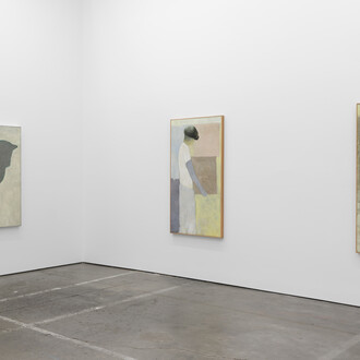 Tyler Ormsby, Punk leaf, exhibition view. Courtesy of Altman Siegel 