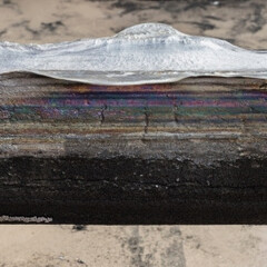 Sensory Spaces 11. Courtesy of Museum Boijmans