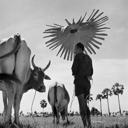 Werner Bischof, Cambodia, 1952 © Werner Bischof / Magnum Photos