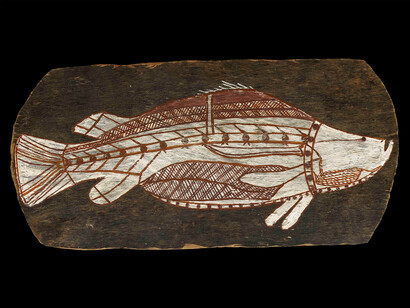 Bark painting of a barramundi, Western Arnhem Land, about 1961 © The Trustees of the British Museum