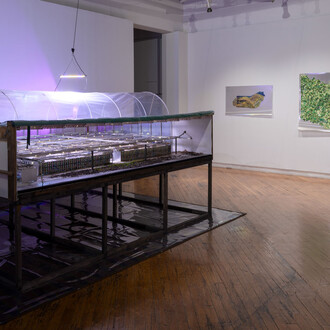 Soft Turns, Cold data, exhibition view. Courtesy of Gallery 44