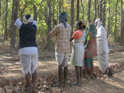 I Baiga e i Gond sono stati banditi dalla Riserva delle tigri di Kanha, in India, che è stata la loro casa per innumerevoli generazioni. © Survival
