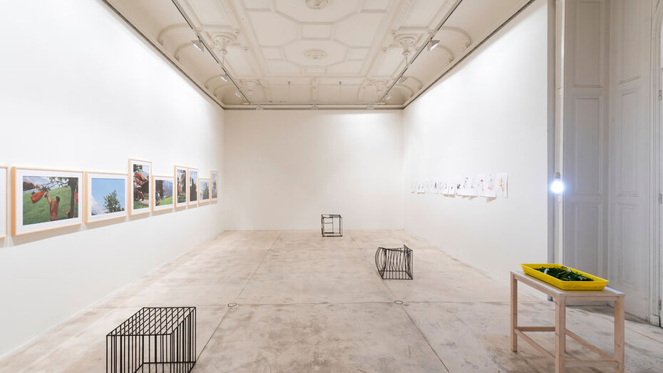 Lois Weinberger. Courtesy of Galerie Krinzinger