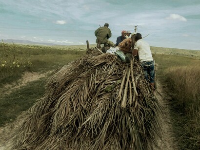 Agricultores em carro de boi. A presença de infraestrutura qualificadas é essencial para impulsionar as atividades agrícolas e aproximar o meio rural do urbano. No entanto, em Moçambique, as estradas, armazéns e redes de comercialização são insuficientes e mal distribuídas, especialmente nas regiões centro e norte do país