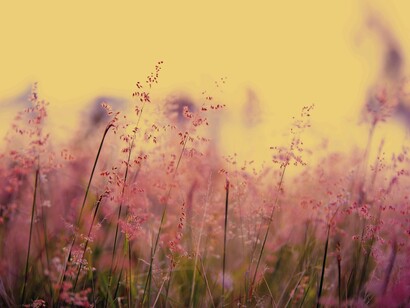 To create attractive and safe communal spaces