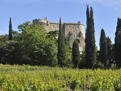 Vignes et  chateau © Emmanuel Georges
