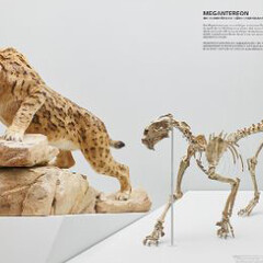 Mammoth & Sabre-Toothed Tiger. Courtesy of Naturhistorisches Museum Basel