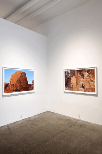 Sally Gall, Vertical world, exhibition view. Courtesy of Winston Wächter Fine Art 