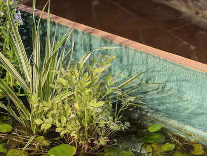 Paolina, 2017, enamelled ceramic, water and aquatic plant, oxidize iron | ceramica smaltata, acqua e piante acquatiche, ferro ossidato, 99 x 45 x 80 cm. Courtesy Galleria Continua, San Gimignano / Beijing / Les Moulins / Habana and Comune di Santa Croce sull’Arno. Photo Ela Bialkowska, OKNO studio
L’opera è il risultato della relazione tra Ornaghi & Prestinari e Consorzio Depuratore di Santa Croce sull’Arno per Out of the Box. Arte - impresa - territorio, Villa Pacchiani, Santa Croce sull'Arno, 2017 – 2018