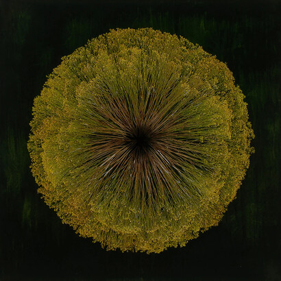 Mayme Kratz, Vanishing light 44, 2024. Courtesy of Lisa Sette Gallery