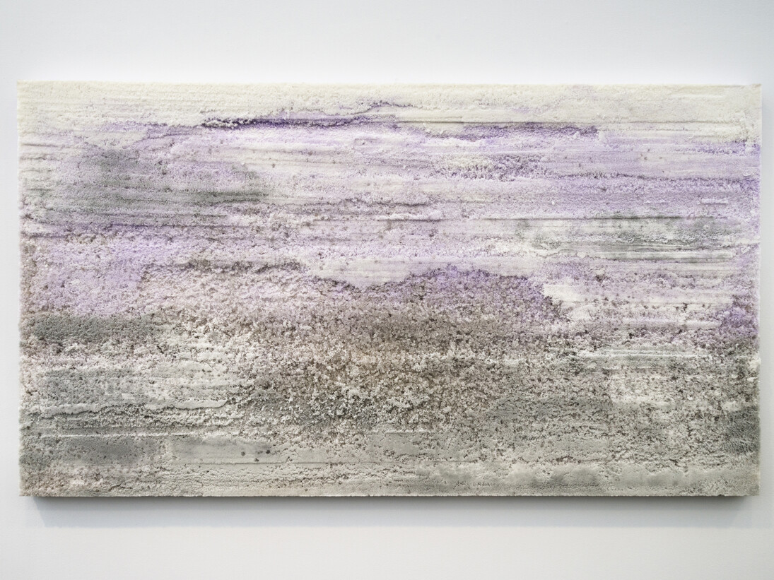 Fernando Mastrangelo, My World Is Wishing Me Asleep, 2015, Salt, 48 x 84 inches (121.9 x 213.4 cm). Courtesy Mike Weiss Gallery, New York