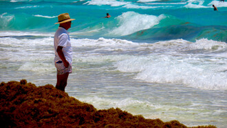 El sargazo invade Cancún