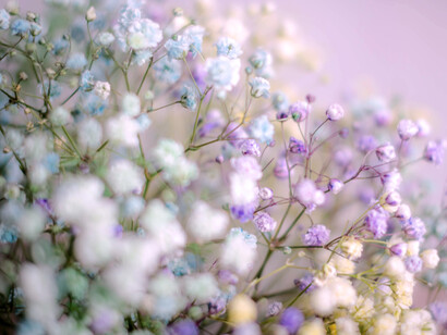 La ternura es libertad galopante transmitida en sensaciones que se hacen universales