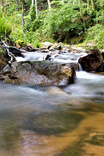 Rio Riera, Parque Natural El Montseny, Cataluña, España