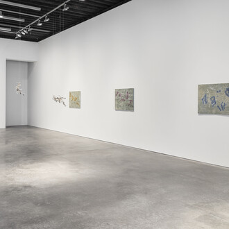 Agnieszka Kurant, Recursion, exhibition view. Courtesy of Marian Goodman Gallery