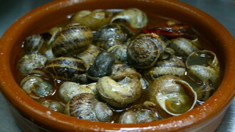 "Caracoles a la madrileña". Em geral, o povo português é um consumidor moderado de caracóis (ainda que se diga que seja um consumidor ávido de caracóis) —, a exceção parece ser o Sul do País. Já os franceses são os principais consumidores a nível mundial