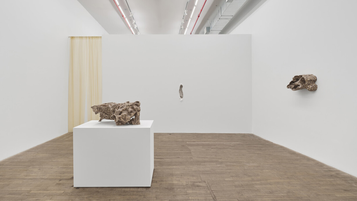 Jes Fan, Sites of wounding. Interchapter, exhibition view. Courtesy of Andrew Kreps Gallery