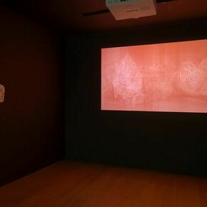 Walid Raad. Preface to the first English edition, installation view