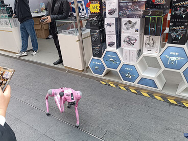 Robotic dog rental demonstration, Huaqiang North, Futian District, Shenzhen, February 2025, China