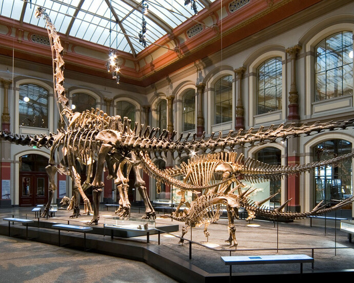 The World of Dinosaurs. Courtesy of Museum für Naturkunde