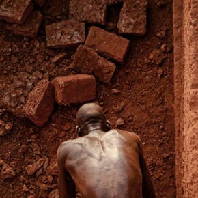 David Pace, Untitled (From the Karaba series) 2010, 24 x 35.25 inches