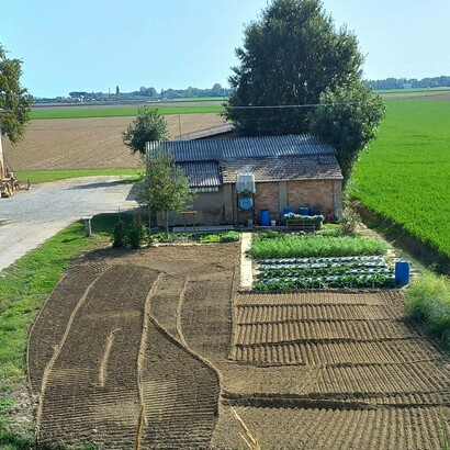 Mariella Busi de Logu, Verità terrestre