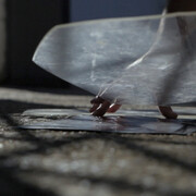 Dawn Roe. Courtesy of Tracey Morgan Gallery