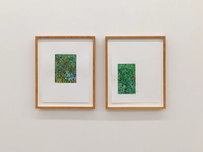 Carly Glovinski, Into the garden, exhibition view. Courtesy of Morgan Lehman Gallery