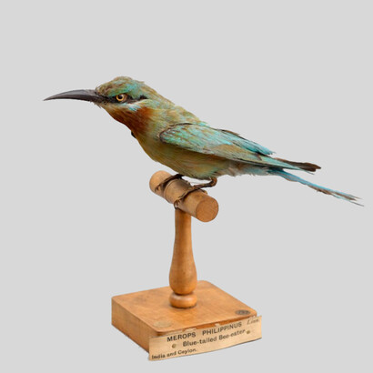 South Asia Gallery object, photo by Michael Pollard. Courtesy of South Asia Gallery