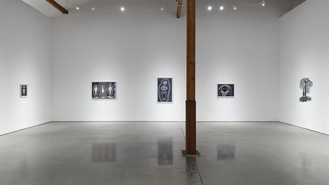 Ann Leda Shapiro, Through the tunnel, exhibition view. Courtesy of François Ghebaly Gallery
