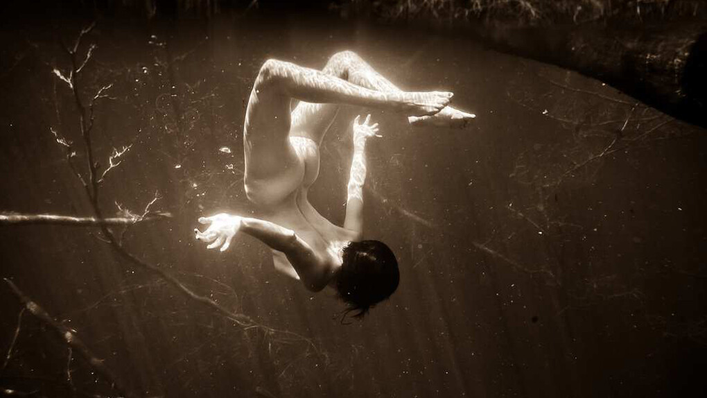 Foto di Neil Craver 