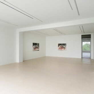 Karol Palczak, Blich, exhibition view. Courtesy of Fundacja Galerii Foksal