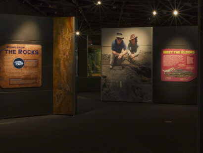 Crocs. Courtesy of Museum of Science