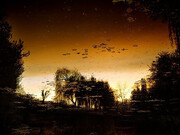 Elger Esser : Giverny VII, Frankreich, 2010, C-print, Aludibond/Forex, 184 x 233.4 x 4 cm (72.44 x 91.89 x 1.57 in), Courtesy Galerie Thaddaeus Ropac, Paris/Salzburg, photo: Philippe Servent
