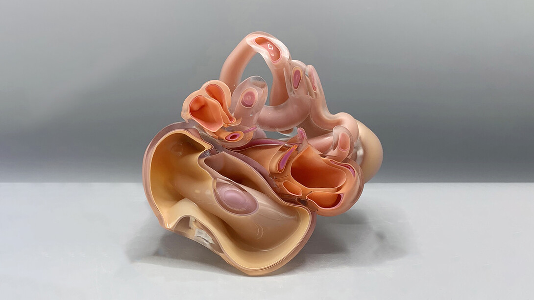 Kim Harty, Fallopian, 2024,
blown and cut glass,
6 x 8 x 4 in. (15.2 x 20.3 x 10.2 cm). Courtesy of the artist and Heller Gallery