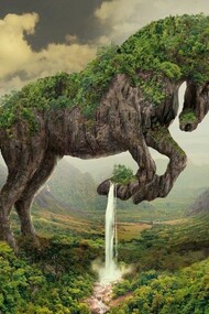 Un caballo y un árbol