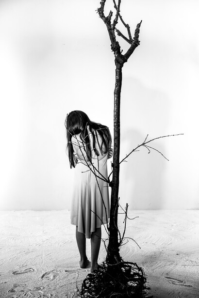 Bonsai Perfect Storm