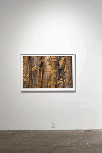 Sally Gall, Vertical world, exhibition view. Courtesy of Winston Wächter Fine Art 