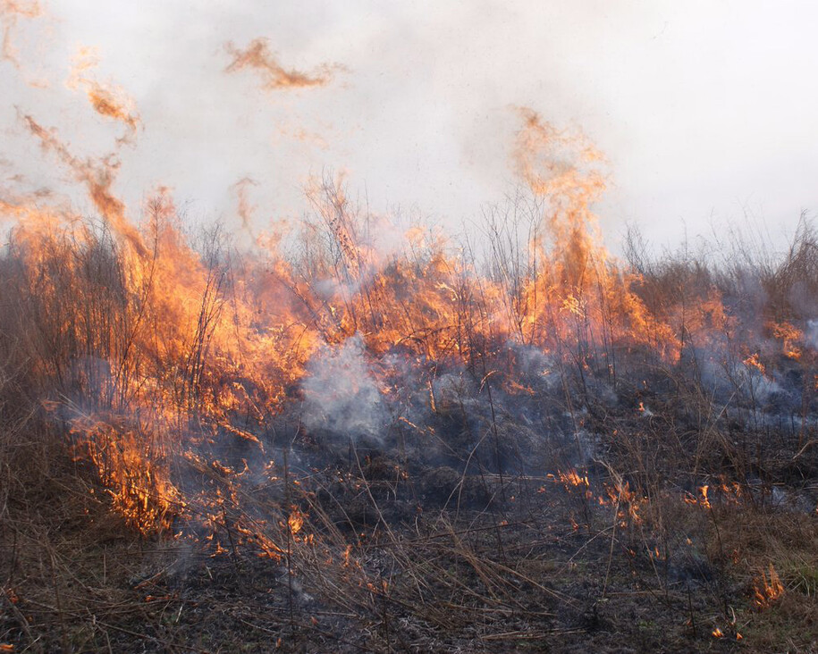 Meredith Foster: Fire and Fat. Courtesy of CAM 