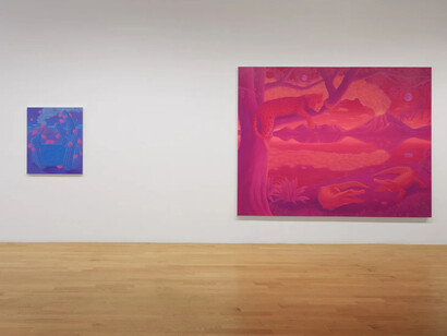 Anna Ortiz, Shapeshifter, exhibition view. Courtesy of Chart