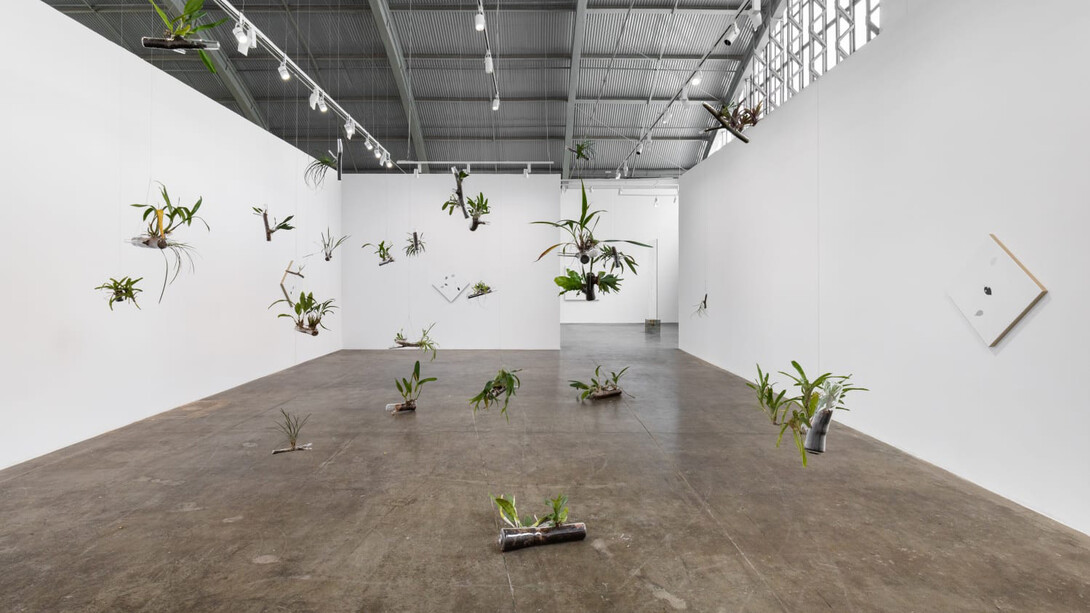 Daniel Steegmann Mangrané, Uma folha translúcida no lugar dos olhos, vista da exposição. Cortesia de Mendes Wood DM