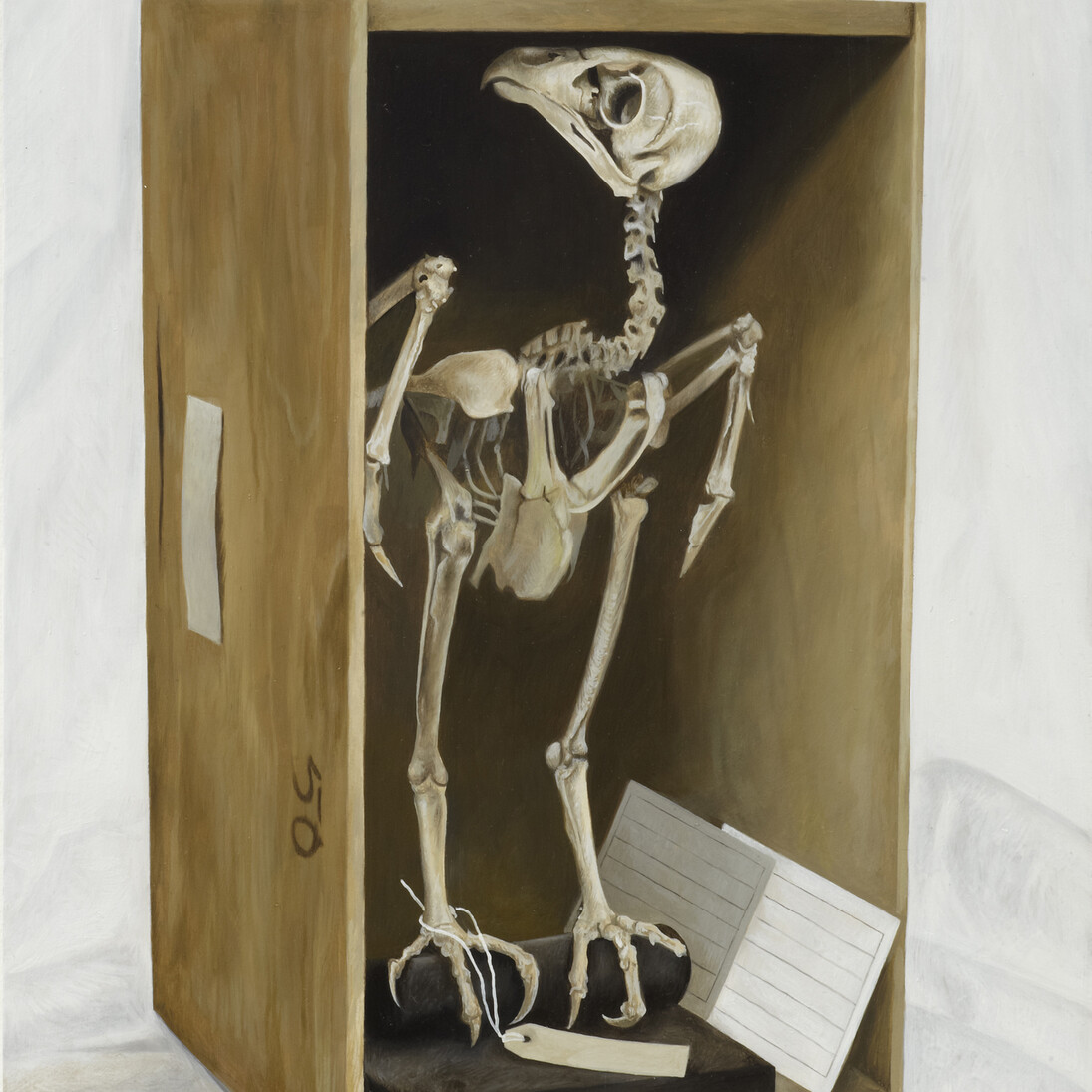 Box Bird (c)Mark Fairnington, Peter White FXP Photography