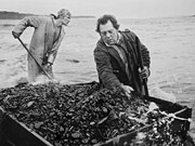 Chris Killip, Netting Seacoal, Lynemouth, 1983 inkjet print 50 x 40 cm courtesy  the artist