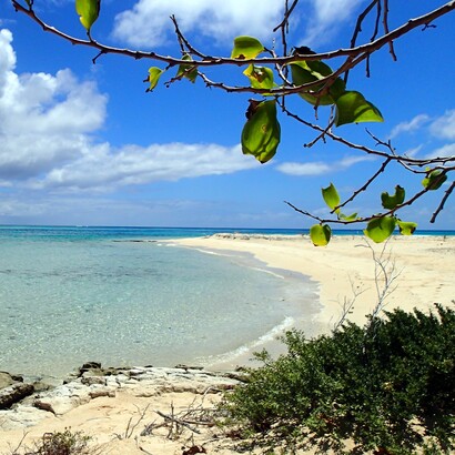 Spiaggia dell'isola di Nukunamo, isola disabitata delle Tonga. Amministrativamente appartiene alla divisione Haʻapai, nel distretto di Foa