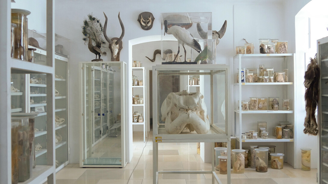 The Mutable Archive. Courtesy of Bruno David