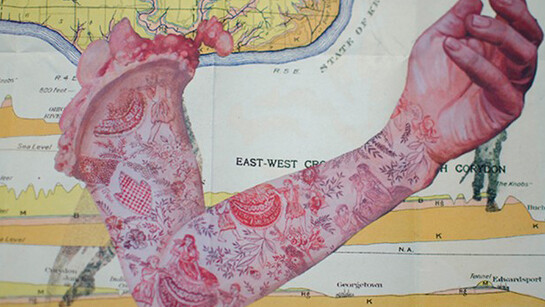 Firelei Báez, Man Without a Country (aka anthropophagist wading in the Artibonite River) (detail), 2012