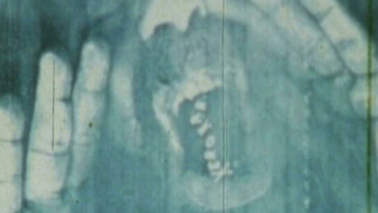 Paulo Bruscky. Courtesy of Galeria Nara Roesler